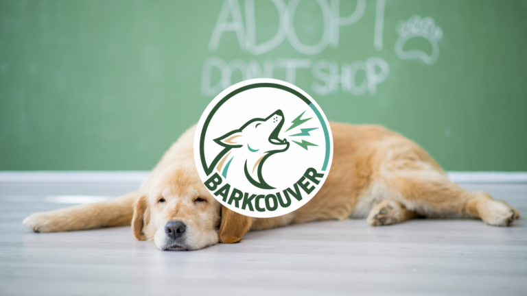 barkcouveradopt