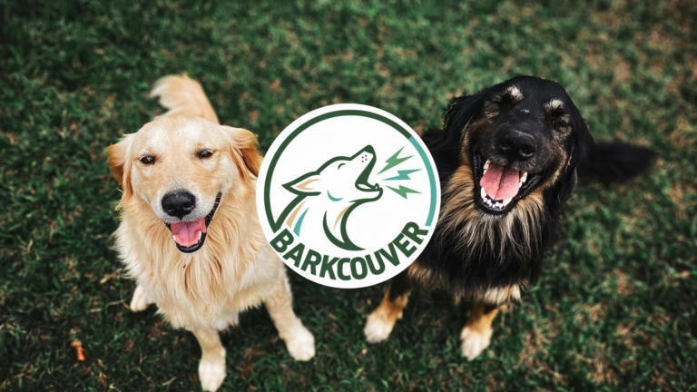 barkcouverservices barkcouverservices