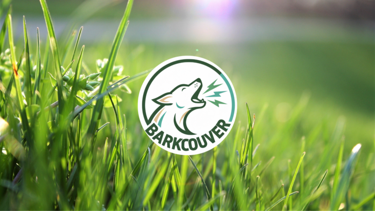 Copy of Copy of Copy of Your paragraph text 6 41 768x432