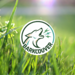 Devonian Harbour Park