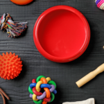 Beyond the Treats: The Meaning and History of National Pet Day